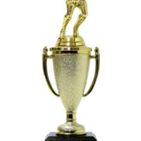 Rugby Runner Trophy 240mm
