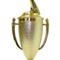 Lamp Of Knowledge Lamp All Star Trophy 350mm