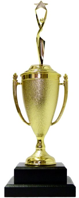 Rearch For The Stars Trophy 390mm