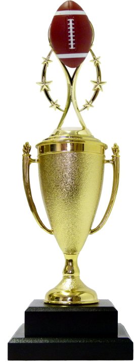 Rugby Colour Ball Trophy 395mm