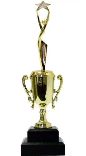 Rearch For The Stars Trophy 290mm