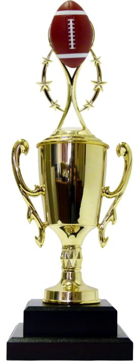 Rugby Colour Ball Trophy 395mm