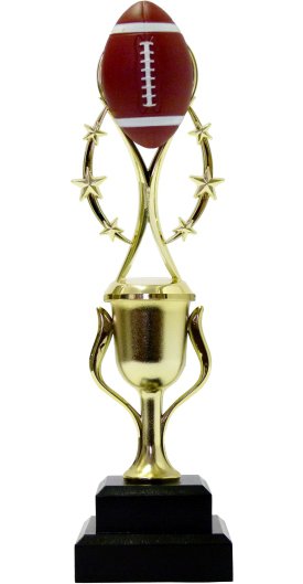 Rugby Colour Ball Trophy 295mm