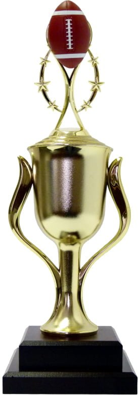 Rugby Colour Ball Trophy 435mm