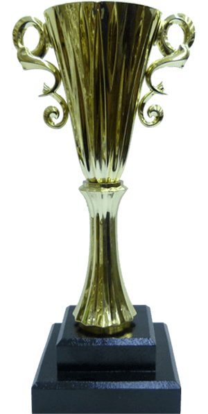Budget Trophy Diamond Cup Gold 230mm