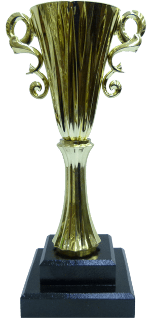 Budget Trophy Diamond Cup Gold 250mm