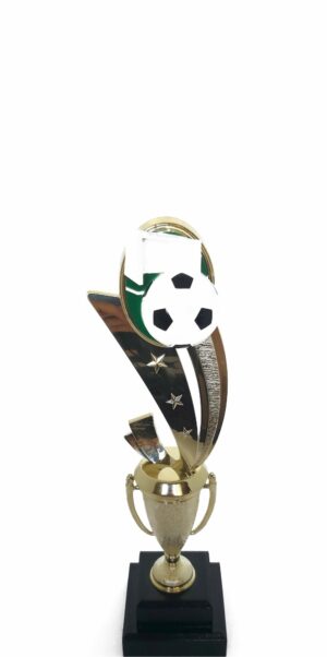 Soccer Sport Scene Trophy 250mm