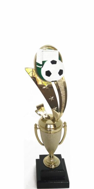 Soccer Sport Scene Trophy 275mm