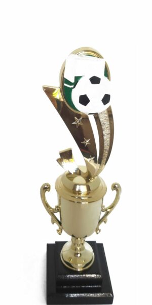 Soccer Sport Scene Trophy 310mm