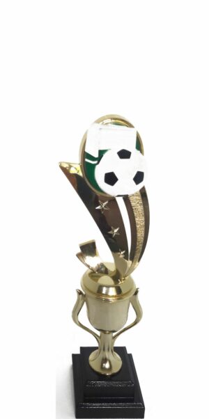 Soccer Sport Scene Trophy 275mm