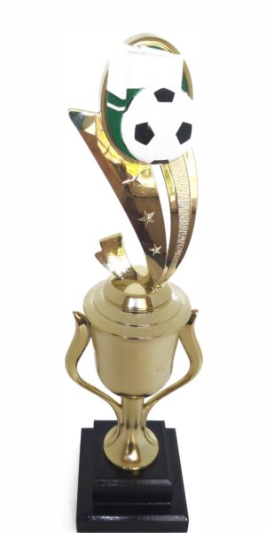 Soccer Sport Scene Trophy 350mm