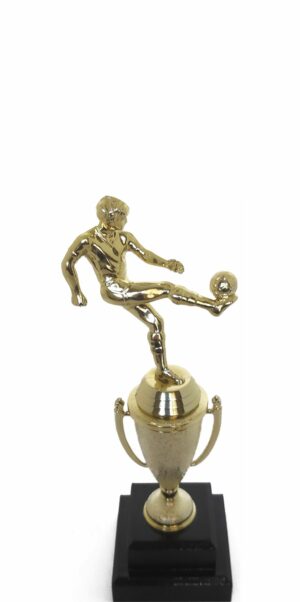 Soccer Kicker Male Trophy 255mm