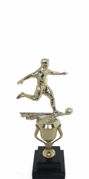 Soccer All Star Male Trophy 265mm