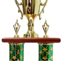 Lamp Of Knowledge Lamp Column Trophy 700mm