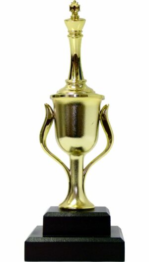 Chess King Trophy 250mm