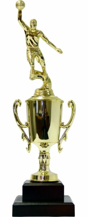 Basketball S/D Male Trophy 350mm