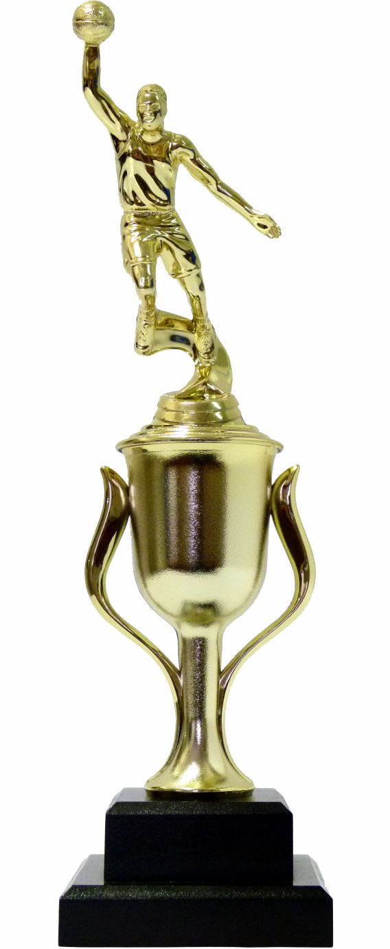 Basketball S/D Male Trophy 350mm