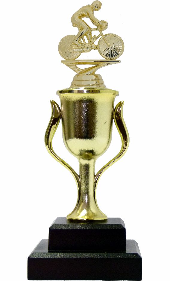 Cycling Female Trophy 250mm Trophy Shop Online