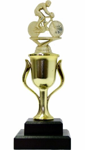 Cycling Male Trophy 250mm