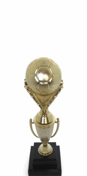 Soccer Ball Trophy 265mm