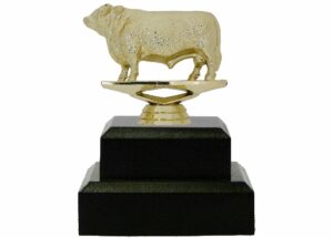 Hereford Bull Trophy 125mm