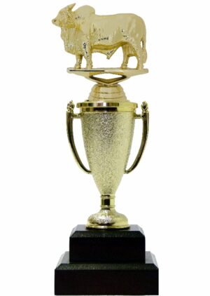 Brahma Bull Trophy 215mm