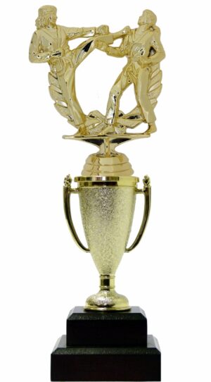 Karate Female Double Action Trophy 265mm