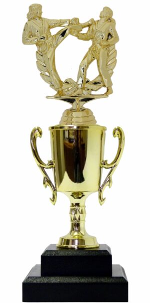 Karate Male Double Action Trophy 290mm