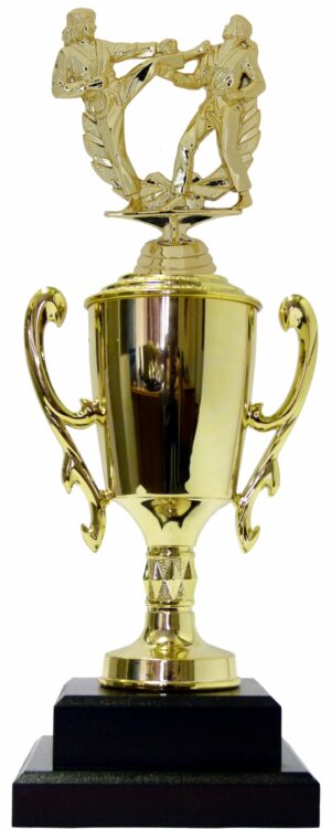 Karate Male Double Action Trophy 365mm