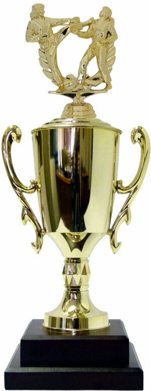 Karate Male Double Action Trophy 405mm