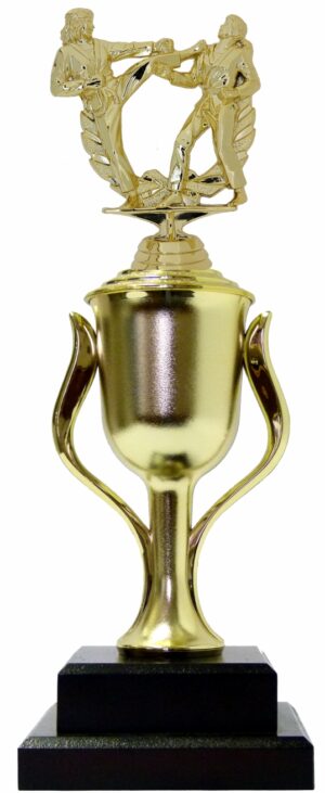 Karate Male Double Action Trophy 365mm