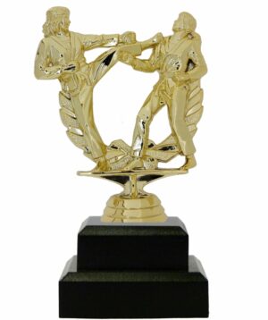 Karate Female Double Action Trophy 165mm