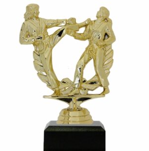 Karate Female Double Action Trophy 145mm