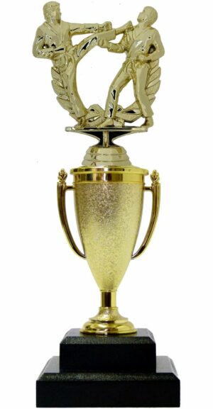 Karate Male Double Action Trophy 290mm