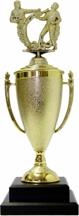 Karate Male Double Action Trophy 405mm