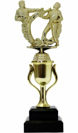 Karate Male Double Action Trophy 265mm