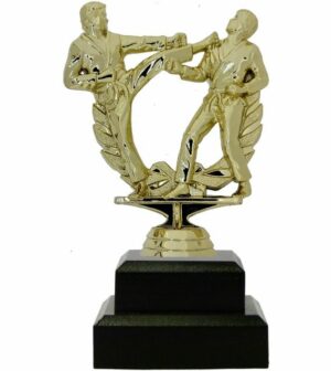 Karate Male Double Action Trophy 165mm