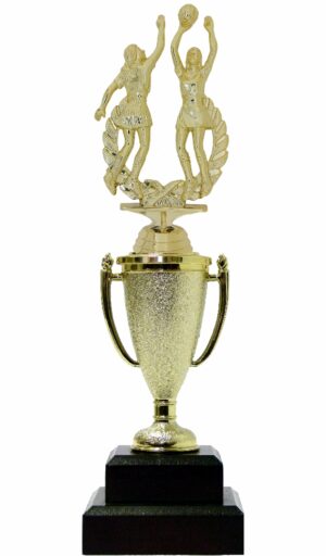 Netball Double Action Trophy 295mm