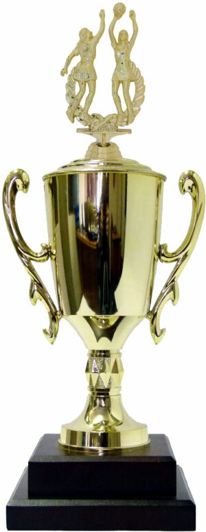 Netball Double Action Trophy 435mm