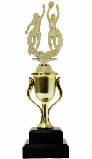 Netball Double Action Trophy 295mm