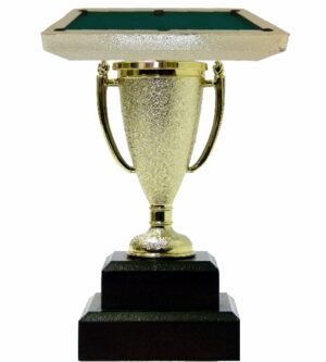 Pool Table Trophy 155mm