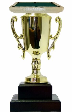 Pool Table Trophy 215mm