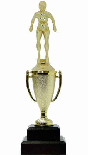 Swimmer Female Trophy 245mm