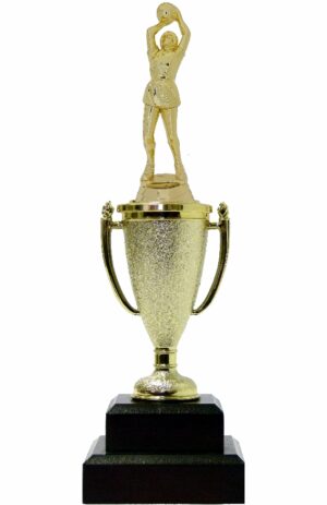Netball Trophy 255mm