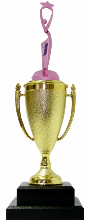 Rearch For The Stars Trophy PINK 390mm