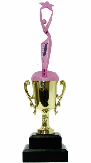Rearch For The Stars Trophy PINK 290mm