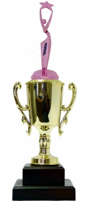 Rearch For The Stars Trophy PINK 350mm