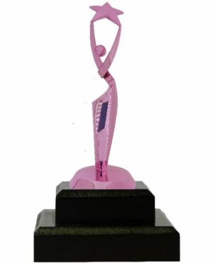 Reach For The Starts Trophy PINK 190mm