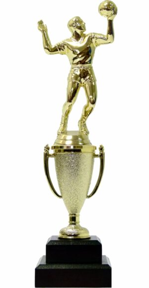 Volleyball Male Trophy 270mm