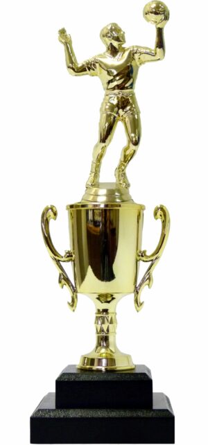 Volleyball Male Trophy 290mm